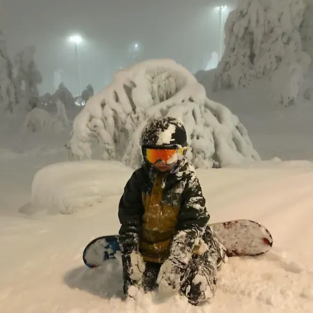 Levi - Really Peaceful And Quiet Area アパート