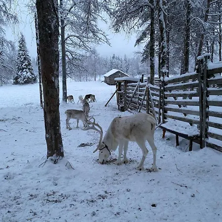 Levi - Really Peaceful And Quiet Area Kittilä