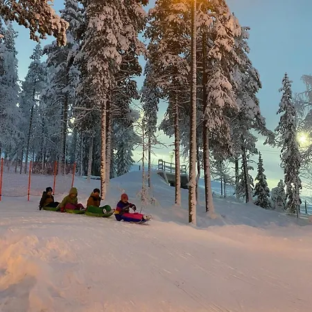 Levi - Really Peaceful And Quiet Area アパート Kittilä