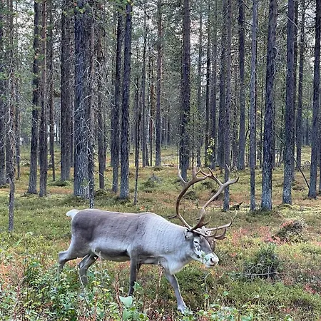 アパート Levi - Really Peaceful And Quiet Area Kittilä