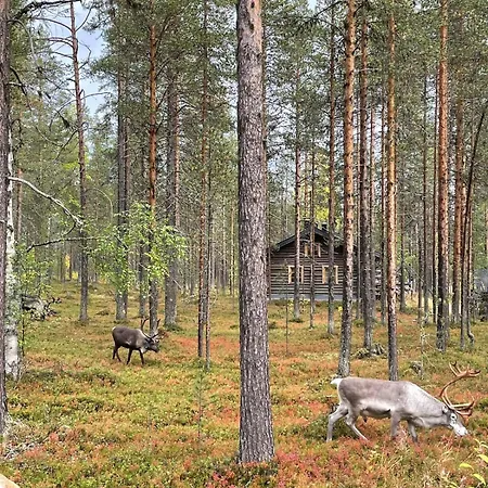 Levi - Really Peaceful And Quiet Area Киттиля