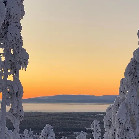 Levi - Really Peaceful And Quiet Area