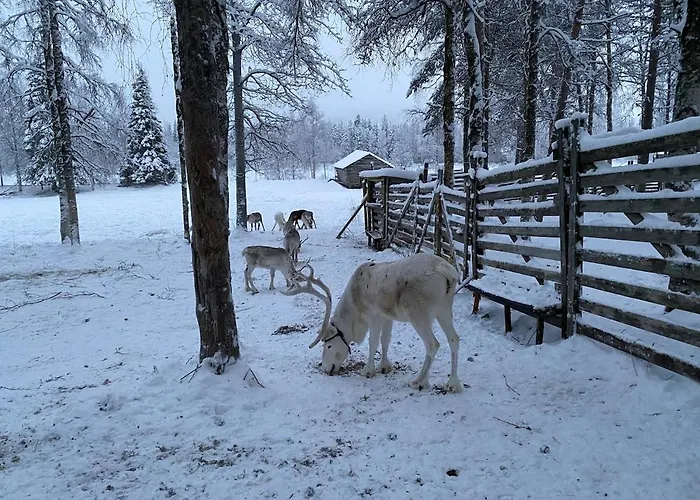 Levi - Really Peaceful And Quiet Area Kittilä