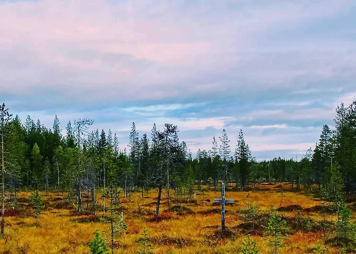 Levi - Really Peaceful And Quiet Area Kittilä