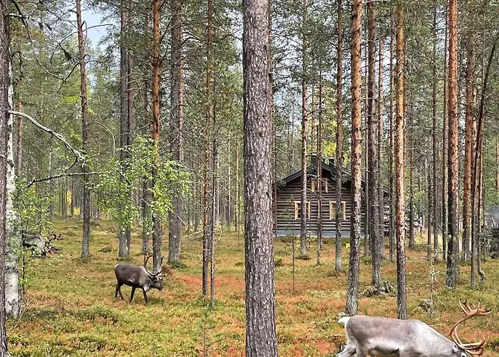 Levi - Really Peaceful And Quiet Area Kittilä