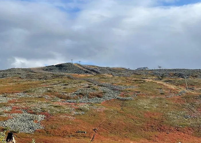 Levi - Really Peaceful And Quiet Area