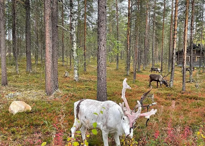Διαμέρισμα Levi - Really Peaceful And Quiet Area *